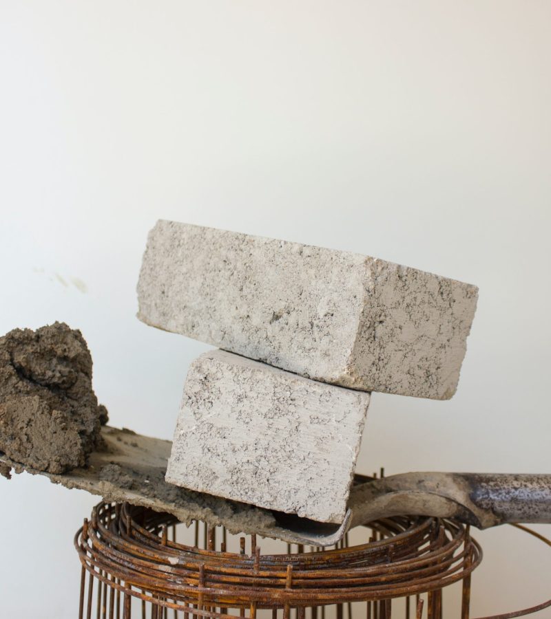 anaya-katlego-tXNplGKQeyY-unsplash