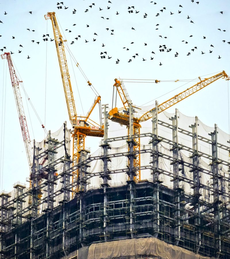 danist-soh-8Gg2Ne_uTcM-unsplash